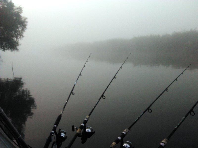 Rosu - Septembrie  2015 - img20150927065405.jpg